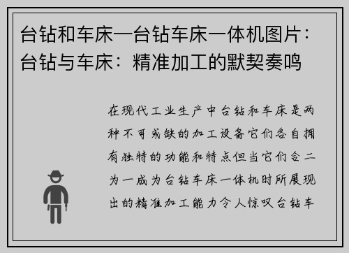 台钻和车床—台钻车床一体机图片：台钻与车床：精准加工的默契奏鸣